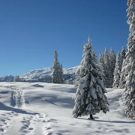 Chasa Fadrina شقة *