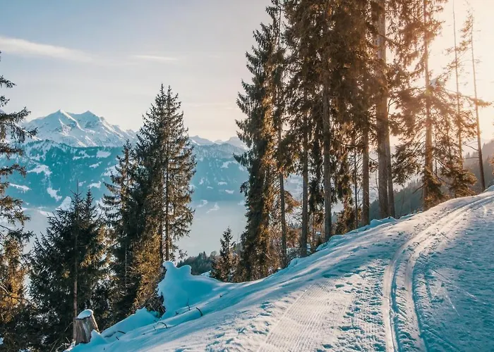 Apartment Chasa Fadrina *