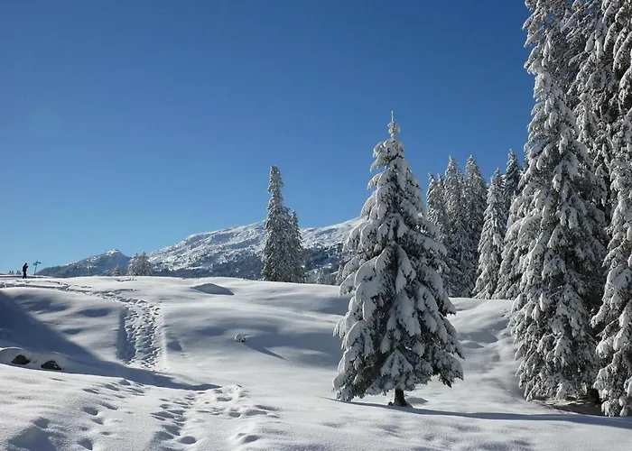 Chasa Fadrina Apartment *