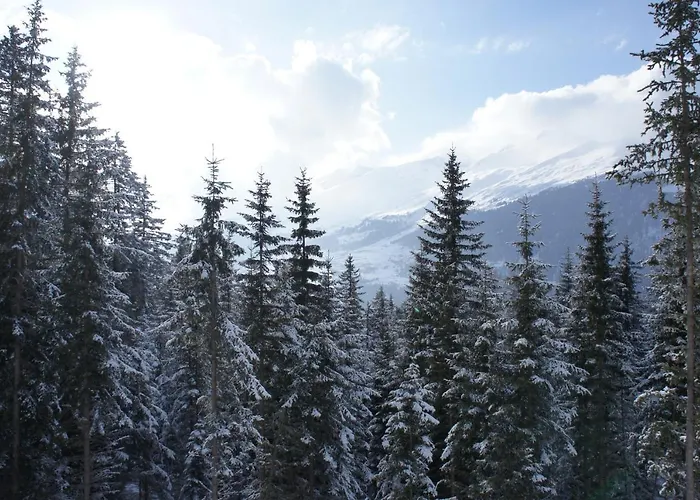 Apartment Chasa Fadrina